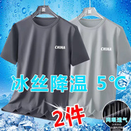 鵲笙夏季冰絲短袖t恤男速干網(wǎng)眼寬松大碼男裝百搭白色T恤衫短袖男男T 深灰+淺灰【兩件裝】 4XL【建議165-180斤左右】