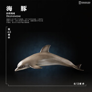可愛(ài)家玩具仿真動(dòng)物模型海洋生物鯊魚鯨魚海豚企鵝海龜螃蟹擺件兒童禮物 海豚
