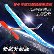 玩控 雷鳥橡皮筋動力飛機航模拼裝diy手工制作飛機模型可飛泡沫滑翔機 新款雷翼（顏色隨機）