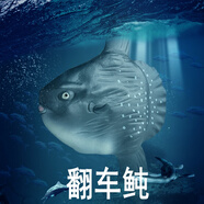 林暢模玩兒童海洋動物玩具實心仿真深海魚模型鋸鰩刺魟蝠鲼箱鲀認知生物 翻車鲀