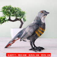 仿真動(dòng)物標本黃鸝鳥(niǎo)伯勞小鳥(niǎo)擺件喜鵲杜鵑真羽毛鳥(niǎo)類(lèi)裝飾工藝品 杜鵑(16*26.5)