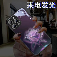 雅好（Yagoo）發(fā)光紫晶玫瑰適用于蘋果16手機殼網(wǎng)紅iPhone15ProMax來電閃發(fā)光外殼個性創(chuàng)意13男女情侶潮14保護套 【幻晶玫瑰紫】七彩聲控款 蘋果13mini(5.4寸)