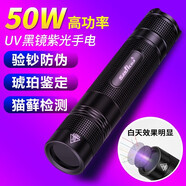 SANJICHA 紫外線365強(qiáng)光紫光燈鑒定UV黑鏡手電筒琥珀蜜蠟玉石驗(yàn)鈔熒光劑檢測筆伍德氏燈貓?zhí)\ 365UV紫光黑鏡|：1個(gè)大容量電池+充電器