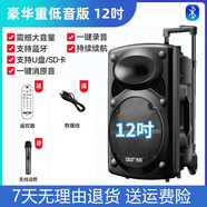先科（SAST）廣場(chǎng)舞音響專(zhuān)業(yè)戶(hù)外k歌音箱帶話(huà)筒家用拉桿藍牙手拉麥克風(fēng) 12吋+單話(huà)筒