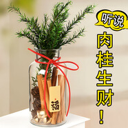 金日滿【大號(hào)】教師節(jié)送老師肉桂生財(cái)桌面擺件玻璃花瓶辦公室生日禮物女玻璃瓶+肉桂+開(kāi)心果+松果+千層金