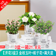 綠有意綠植盆栽多肉花卉盆栽植物室內(nèi)桌面水培綠植辦公室客廳植物懶人 開花3盆】金枝+梔子花+滿天星