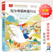 尼爾斯騎鵝旅行記 彩圖注音版 世界名著 小學(xué)語文課外閱讀經(jīng)典叢書 大語文系列