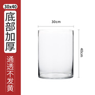 奇敬大號直筒高硼硅玻璃花瓶馬醉木富貴竹專用花瓶客廳酒店花瓶擺件 【口30×高40cm】 玻璃花瓶（不含花）