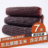 守望鄉(xiāng)村（KEEP W-VILLAGE GO）新東北鮮嫩玉米 粘糯黏甜糯香真空玉米苞米 早餐粗糧小玉米 黑色玉米7支（單支200g以上）