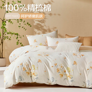 博洋（BEYOND）博洋家紡100%純棉四件套被套床單枕套ins風(fēng)全棉套件單雙人被罩 花月鳥(niǎo)【100%純棉】 1.8m加大 床單款 （被套220x240cm)