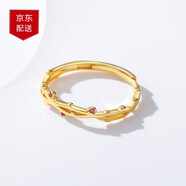 TURBOSUN 銀戒指女時尚甜美金色樹枝氣質(zhì)簡約指環(huán)520情人節(jié)禮物送女友 金色活口（5層電鍍）