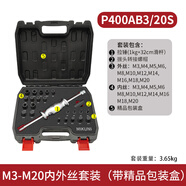 緹芙尼（TIFUNI）手動(dòng)拔銷(xiāo)器內外螺紋P400AB絲牙拉拔器M3-M27定位銷(xiāo)拆卸工具 ()m3-m20內外絲拔銷(xiāo)器(塑盒裝)