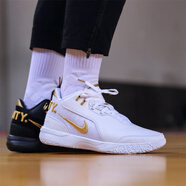 耐克（NIKE）LeBron NXXT Gen Zoom 詹姆斯耐磨透氣男款低幫緩震籃球鞋 FJ1567-103黑白鴛鴦 40.5 (255mm)
