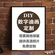 派森柏（PAISENBO）diy數字油畫(huà)定制球星照片nba填充手工填色手繪油彩涂色禮物裝飾畫(huà) 照片定制 30*40cm繃好內框+ 顏料畫(huà)筆