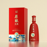 瀘州老窖  禮盒裝 濃香型 白酒  純糧酒 52度 500mL 2瓶 原釀天典9C