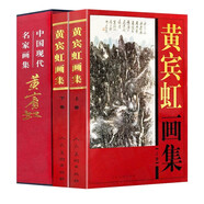 【包郵】中國(guó)書畫名家全集（近現(xiàn)代）黃賓虹 齊白石 徐悲鴻 劉海粟 李苦禪 傅抱石 張大千 李可染 黃胄 潘天壽 黃賓虹畫集(上下冊(cè))