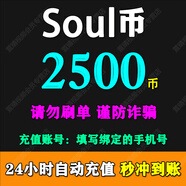 【填寫手機(jī)號】Soul幣充值soul金幣充值 需要輸入驗證碼 soul幣充值 2500 soul幣