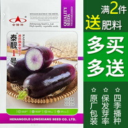 四季蔬菜種子菜種籽秋季香菜菠菜生菜小白菜蘿卜蔬菜種孑籽種大全 泰靚1號冰淇淋水果蘿卜(約200粒)