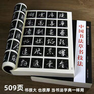 【官方正版】中國書(shū)法草書(shū)技法 初學(xué)者練字字帖教程 標準行草毛筆書(shū)法字帖字典 臨摹王羲之成人草書(shū)毛筆字帖 董其昌趙孟頫草書(shū)千字文 草書(shū)入門(mén)毛筆字帖 鄧散木著(zhù)草書(shū)口訣 【加厚版 509頁(yè)】中國書(shū)法草書(shū)技法