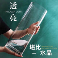 大海邊 透明玻璃花瓶富貴竹馬醉木銀柳加厚花瓶風高顏值大口徑龍竹龍柳 直徑10CM高20CM