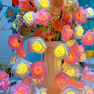 多美憶生日場景布置女孩生日兒童燈串道具氛圍裝飾快樂小彩燈3米20朵