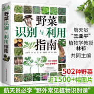 野菜識別與利用指南常見(jiàn)野菜野外識別速查圖鑒野菜書(shū)籍大全野菜的食用方法中國野菜百科中國野菜大全野菜的功效大全河南科學(xué)技術(shù)