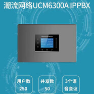 Grandstream潮流網(wǎng)絡UCM6300A IPPBX電話交換機 集團電話 SIP程控交換機 網(wǎng)絡電話250用戶50并發(fā) 企業(yè)融合通 UCM6300A