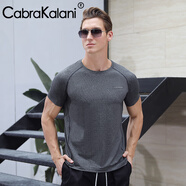 CabraKalani男士短袖男透氣輕薄舒適運(yùn)動休閑修身T恤彈力百搭健身打底衫圓領(lǐng) 斷碼灰色9911 L