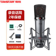 得勝（TAKSTAR）SM-10直播設備專業(yè)錄音話筒主播唱K歌電容麥克風話筒 SM-10標配