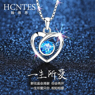 翰德思一生所愛項(xiàng)鏈女S925銀愛心形鎖骨鏈吊墜送女友生日禮物情人節(jié)禮物 【免費(fèi)刻字】愛意恒久項(xiàng)鏈-藍(lán)鋯