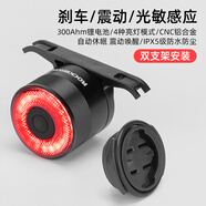 洛克兄弟（ROCKBROS）自行車(chē)尾燈USB充電騎行安全夜騎車(chē)燈警示燈公路山地車(chē)尾燈配件 智能感應(yīng)剎車(chē)尾燈Q3(雙支架 )