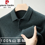 皮爾卡丹（pierre cardin）高端羊毛衫男士100%羊毛秋冬毛衣厚款羊毛絨衫長袖T恤打底針織衫 klf23-XG982草綠【加丨厚丨款500 190/4XL【推薦190-210斤】