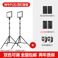 神牛（Godox） p120c攝影燈led補光燈便攜單反相機攝像打光燈影視拍照婚慶常亮燈光 P120C雙燈+適配器【送6000毫安電池*2】