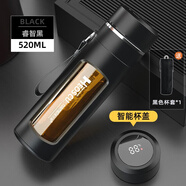 恩爾美（nRMEi）水杯男士大容量茶杯便攜車載辦公防摔耐高溫茶水分離泡茶玻璃杯子 商務(wù)黑520ml【升級智能+杯套款】
