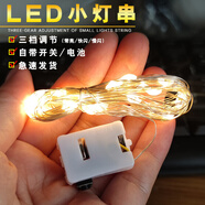 別穎LED閃爍燈串鮮花蛋糕花束禮盒燈派對氣球夜市彩燈裝飾氛圍彩帶 暖白【三檔開關(guān)含電馳】 1米10燈【1個】