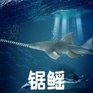 林暢模玩兒童海洋動(dòng)物玩具實(shí)心仿真深海魚模型鋸鰩刺魟蝠鲼箱鲀認(rèn)知生物 鋸鰩