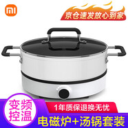 小米（MI） 米家電磁爐青春版家用組合套裝雙頻迷你型火鍋湯鍋火力智能溫控灶 煮湯鍋套裝（米家電磁爐青春版+煮湯鍋）