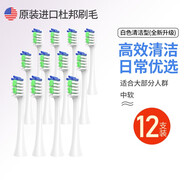 MLKEY適用華為電動(dòng)牙刷刷頭lebooo力博得替換頭LEBOND通用 白色清潔型12支【全新升級(jí)】