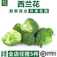 千牛優(yōu)福西蘭花500g 小顆西蘭花朵新鮮脆嫩青花菜綠花菜西藍花椰菜 農家菜