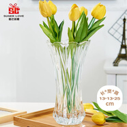 愛(ài)已裝糖 水晶玻璃花瓶假花綠植水培容器客廳裝飾擺件插花瓶鳳尾竹25cm