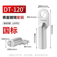 鐘性DT銅鼻子銅接頭DT10/16/25/35/50/70500平方接線端子堵油線耳鼻子 國標(biāo)銅鍍錫DT-120（1只）
