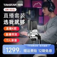 得勝（TAKSTAR） SM-18 EL麥克風(fēng)K歌直播設備專(zhuān)業(yè)錄音唱歌話(huà)筒手機電腦通用外置聲卡套裝 SM-18EL官方標配【支架+防噴網(wǎng)+順豐包郵】 銀色