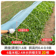 時(shí)光舊巷小拱棚支架桿蔬菜拱棚骨架育苗菜棚花棚玻璃纖維桿彈力棒農(nóng)用大棚 6毫米粗2.4米長(zhǎng)【20根】