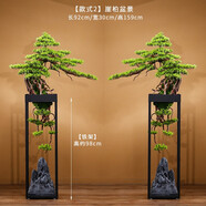 桔梗謠 仿真迎客松擺件崖柏羅漢松盆景大型仿真綠植物落地?cái)[件客廳辦公室酒店售樓部過道裝飾品假樹盆栽造景 款2仿真迎客松盆景-崖柏（一對）
