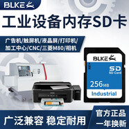 BLKE SD卡2G大卡內(nèi)存卡廣告機音箱觸摸屏CNC加工中心打印機三菱M80機床工業(yè)設(shè)備儲存卡老式數(shù)碼相機 256M SD卡 (單卡)