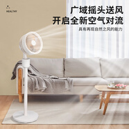 SEEDEN西點(diǎn)空氣循環(huán)扇家用臥室節能省電臺立式落地扇空調伴侶XD-1858FB【風(fēng)扇踏青放價(jià)】 XD-1858FB淺藍