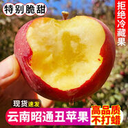 大涼山丑蘋果鹽源蘋果紅富士 脆甜蘋果水果時令新鮮應季整箱 昭通蘋果 5斤特大果 7-9個