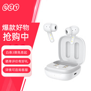 QCY T13 ANC 真無(wú)線藍(lán)牙耳機(jī) 主動(dòng)降噪款 運(yùn)動(dòng)耳麥 主從切換4麥通話降噪 耳機(jī)快充 全手機(jī)通用 白色