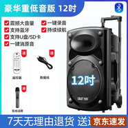 先科（SAST）廣場(chǎng)舞音響專(zhuān)業(yè)戶(hù)外k歌音箱帶話(huà)筒家用拉桿藍牙手拉麥克風(fēng) 12吋+單話(huà)筒