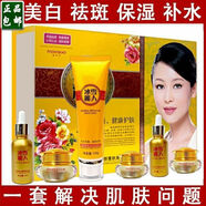 冰雪麗人五件套淡斑祛斑美白霜二合一套裝補(bǔ)水保濕化妝品女 原裝套盒(送十片面膜一支口紅)